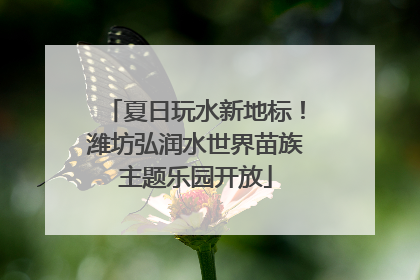 夏日玩水新地标！潍坊弘润水世界苗族主题乐园开放