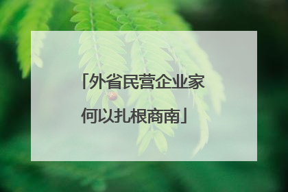 外省民营企业家何以扎根商南
