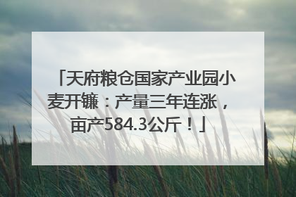 天府粮仓国家产业园小麦开镰：产量三年连涨，亩产584.3公斤！