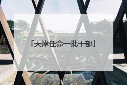 天津任命一批干部