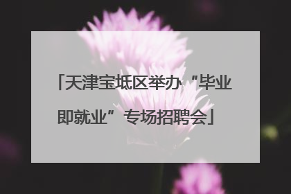 天津宝坻区举办“毕业即就业”专场招聘会