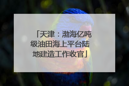 天津：渤海亿吨级油田海上平台陆地建造工作收官