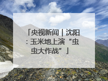 央视新闻｜沈阳：玉米地上演“虫虫大作战”