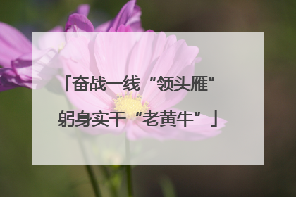 奋战一线“领头雁” 躬身实干“老黄牛”