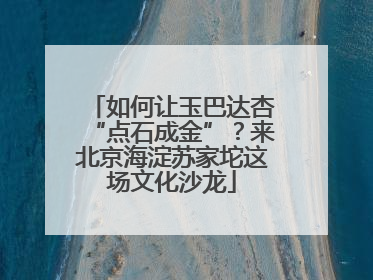 如何让玉巴达杏“点石成金”？来北京海淀苏家坨这场文化沙龙
