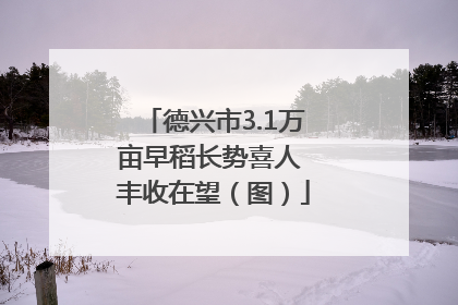 德兴市3.1万亩早稻长势喜人 丰收在望（图）