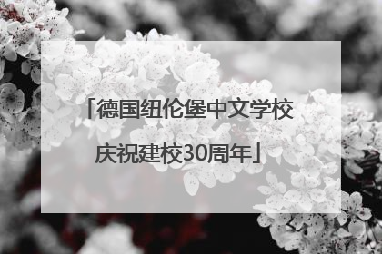 德国纽伦堡中文学校庆祝建校30周年