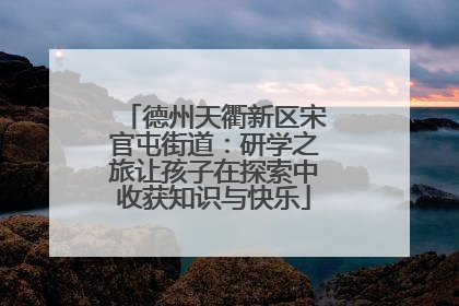 德州天衢新区宋官屯街道：研学之旅让孩子在探索中收获知识与快乐