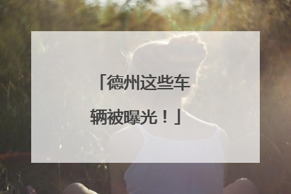 德州这些车辆被曝光！