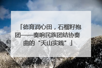 德育润心田，石榴籽抱团——奏响民族团结协奏曲的“天山实践”