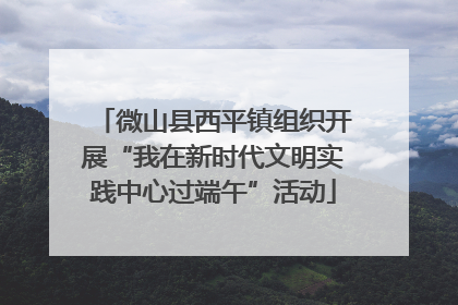微山县西平镇组织开展“我在新时代文明实践中心过端午”活动