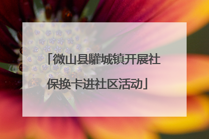 微山县驩城镇开展社保换卡进社区活动