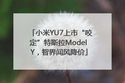 小米YU7上市“咬定”特斯拉Model Y，智界闻风降价