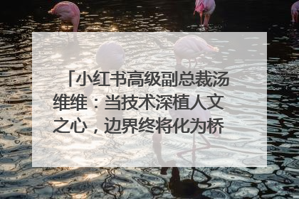小红书高级副总裁汤维维：当技术深植人文之心，边界终将化为桥梁｜聚焦2025文化强国建设高峰论坛