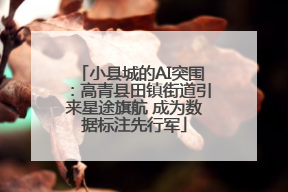 小县城的AI突围：高青县田镇街道引来星途旗航 成为数据标注先行军