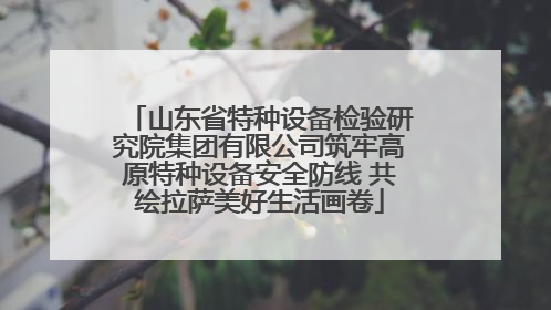 山东省特种设备检验研究院集团有限公司筑牢高原特种设备安全防线 共绘拉萨美好生活画卷