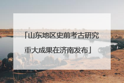 山东地区史前考古研究重大成果在济南发布