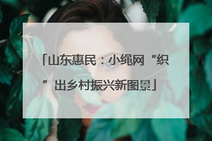 山东惠民：小绳网“织”出乡村振兴新图景
