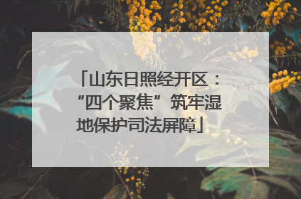 山东日照经开区：“四个聚焦”筑牢湿地保护司法屏障