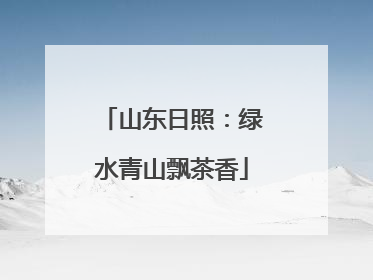 山东日照：绿水青山飘茶香