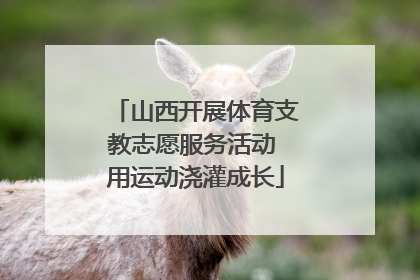 山西开展体育支教志愿服务活动 用运动浇灌成长