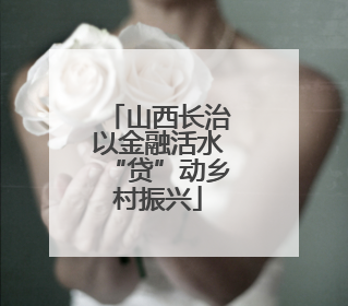山西长治以金融活水“贷”动乡村振兴