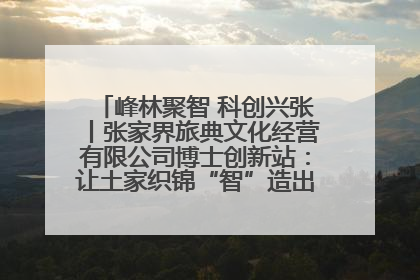 峰林聚智 科创兴张丨张家界旅典文化经营有限公司博士创新站：让土家织锦“智”造出非遗新传奇