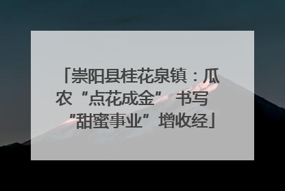 崇阳县桂花泉镇：瓜农“点花成金” 书写“甜蜜事业”增收经