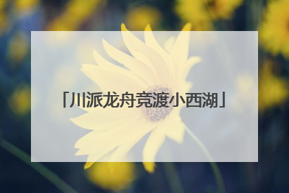 川派龙舟竞渡小西湖