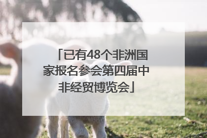 已有48个非洲国家报名参会第四届中非经贸博览会