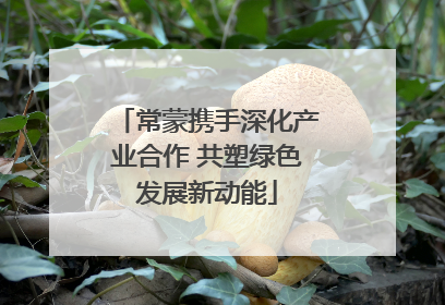 常蒙携手深化产业合作 共塑绿色发展新动能