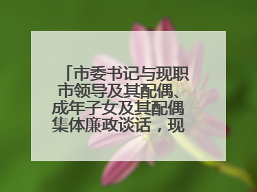 市委书记与现职市领导及其配偶、成年子女及其配偶集体廉政谈话，现场签承诺书