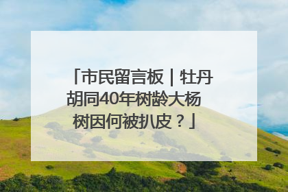市民留言板｜牡丹胡同40年树龄大杨树因何被扒皮？
