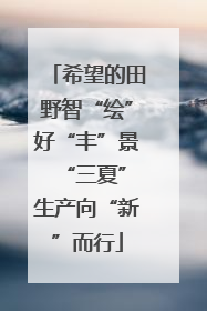 希望的田野智“绘”好“丰”景 “三夏”生产向“新”而行