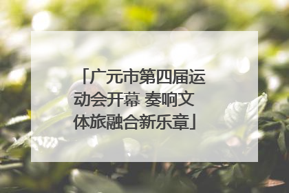 广元市第四届运动会开幕 奏响文体旅融合新乐章