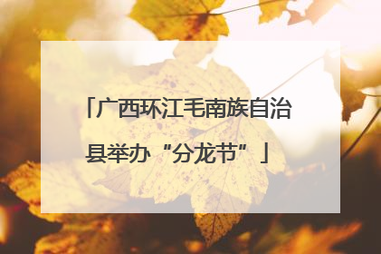 广西环江毛南族自治县举办“分龙节”