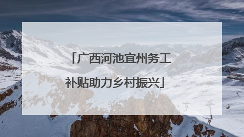 广西河池宜州务工补贴助力乡村振兴
