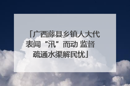 广西藤县乡镇人大代表闻“汛”而动 监督疏通水渠解民忧