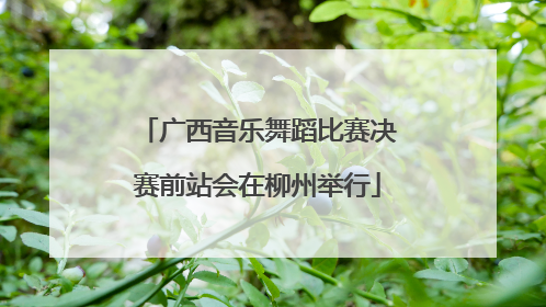 广西音乐舞蹈比赛决赛前站会在柳州举行