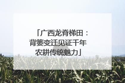 广西龙脊梯田：背篓变迁见证千年农耕传统魅力