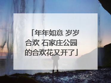 年年如意 岁岁合欢 石家庄公园的合欢花又开了
