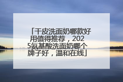 干皮洗面奶哪款好用值得推荐，2025氨基酸洗面奶哪个牌子好，温和在线