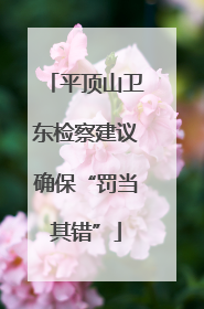 平顶山卫东检察建议确保“罚当其错”