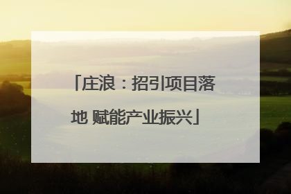 庄浪：招引项目落地 赋能产业振兴