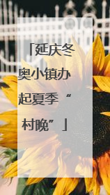 延庆冬奥小镇办起夏季“村晚”