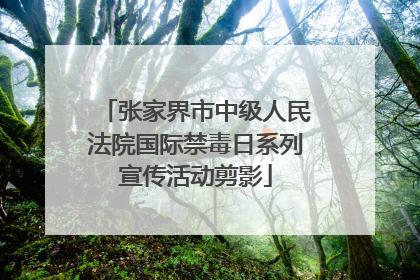 张家界市中级人民法院国际禁毒日系列宣传活动剪影