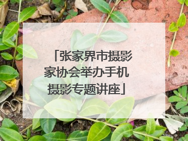 张家界市摄影家协会举办手机摄影专题讲座