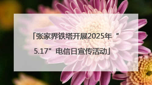 张家界铁塔开展2025年“5.17”电信日宣传活动