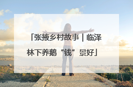 张掖乡村故事｜临泽林下养鹅“钱”景好
