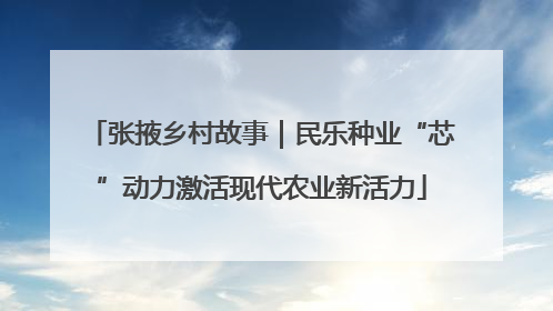 张掖乡村故事｜民乐种业“芯”动力激活现代农业新活力